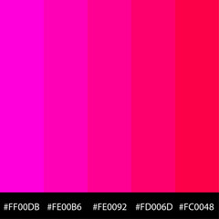 Obraz premium Color code name vector image