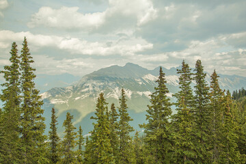 Beautiful lights at Banff national park. 