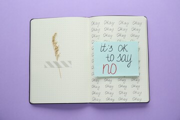 Fototapeta na wymiar Phrase It`s Ok to Say No and dry flower attached with adhesive tape in notebook on violet background, top view
