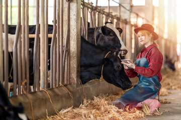 Industry, agriculture, agriculture, people and animal husbandry concept - veterinarian or doctor with clipboard and herd of cows in dairy farm