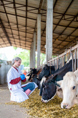 Fototapeta na wymiar Female veterinarian in a white medical gown stands in a cowshed and records the data after a regular examination of the cattle on the dairy farm. Concept of cattle breeding and its medical care.