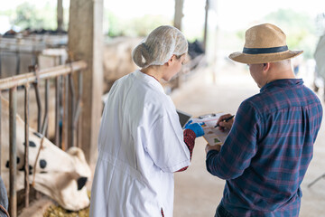 Male farm owner and female livestock veterinarian standing in cow barn consulting farmer's calendar...
