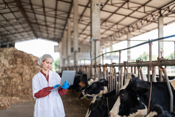 Female veterinarian in a white medical gown stands in a cowshed and records the data after a regular examination of the cattle on the dairy farm. Concept of cattle breeding and its medical care.