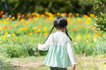 花畑に遊びに来た子供（育児・子育て・旅行・観光・ポピー）