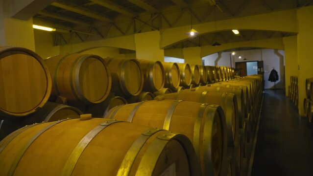 Lots of wood barrels stored at the facility for alcoholic wine drink aging. Aging the manufactured wine inside the barrels. Keeping the beverage in barrels for a long time for wine aging. Vinery