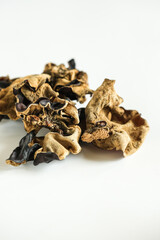 black fungus in white background