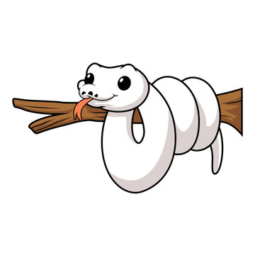 Cute white leucistic ball python snake cartoon on tree branch