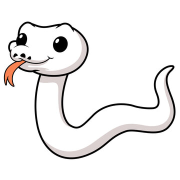 Cute white leucistic ball python snake cartoon
