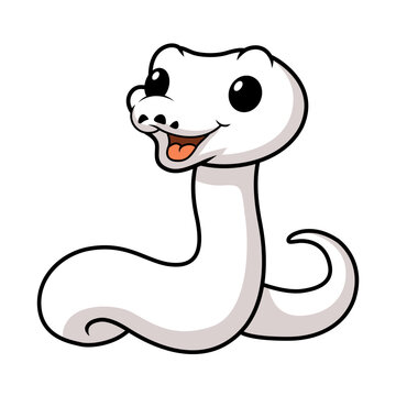 Cute white leucistic ball python snake cartoon