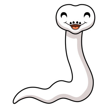 Cute white leucistic ball python snake cartoon