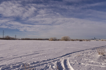 Fototapeta na wymiar A Snow-covered Wheat Field in Winter