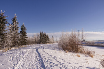 Fototapeta premium Pylypow Wetlands in the Winter