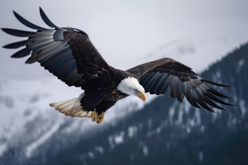 Bald Eagle in Winter made with generative ai