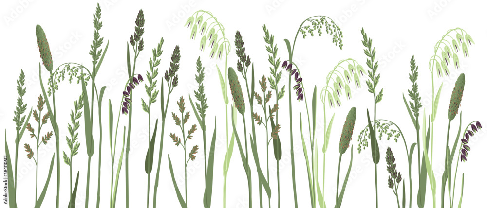 Wall mural vector drawing grass plants, drawing floral elements, hand drawn illustration