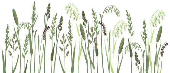 Fototapeta na wymiar vector drawing grass plants, drawing floral elements, hand drawn illustration