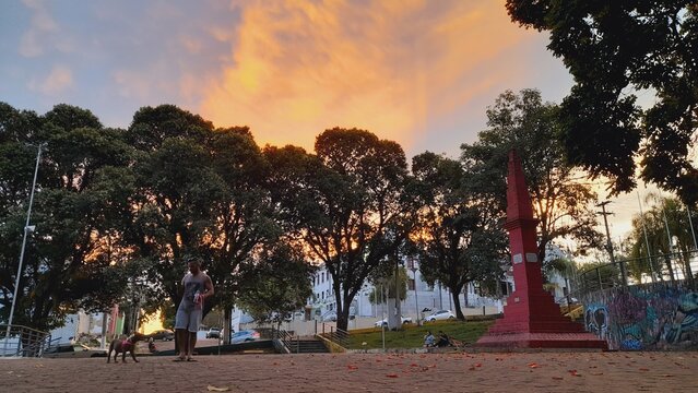 sunset in the park