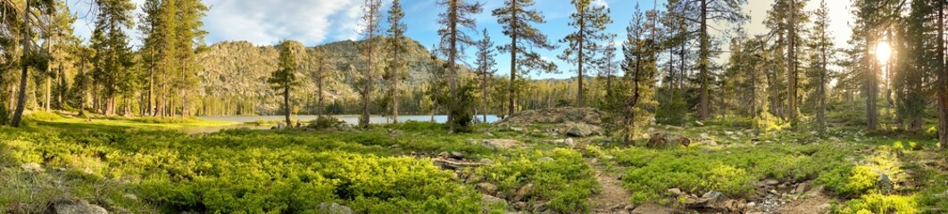 Fototapeta na wymiar Panorama National Forest Lake 