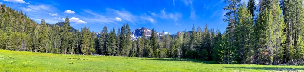 Fototapeta na wymiar National forest meadow with trees and mount Lassen