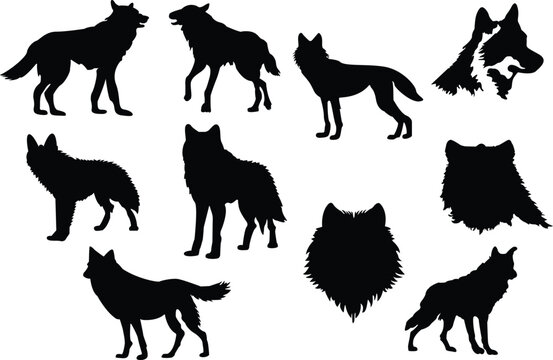 Set of wolf silhouettes. Wolf silhouettes vector illustrations set.