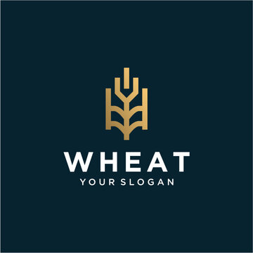 vector wheat logo design