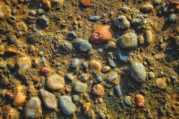 Background texture of fine colored stones in the sand on the beach. 