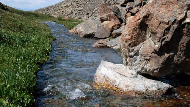 Video of Altai river Yarlyamry. The stream runs along moraine and alpine forb meadow.