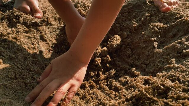 child digs sand with his hands on the beach close-up