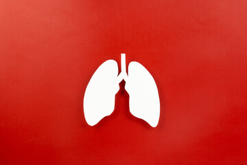 World tuberculosis day. Top view Lungs paper decorative symbol on red background, copy space,...