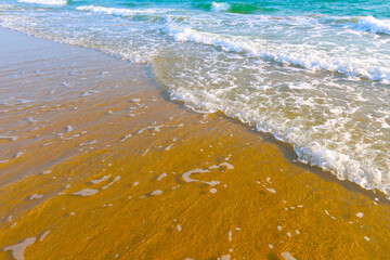 Beach with wave and blue sea water background