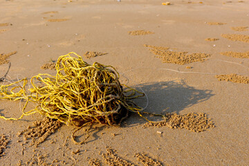 Obraz premium The beach have a garbage and effluents concept of environmental protection.