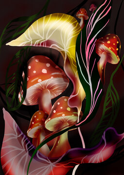 Mushroom in the forest