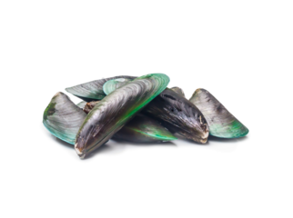Raw food of fresh green mussels in stack isolated on white background with clipping path and shadow in png format