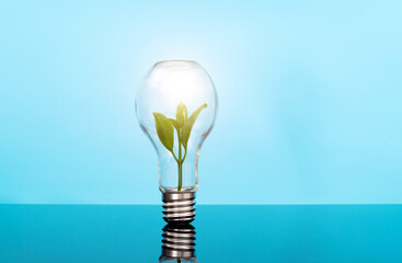 Green plant growth in light bulb - obrazy, fototapety, plakaty