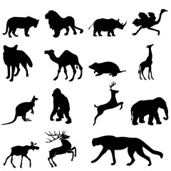Zoo Animals Collection - Vector Illustration