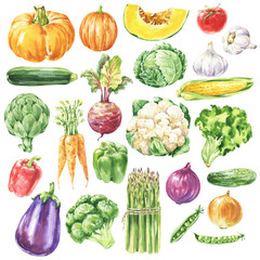 Watercolour vegetable set, food illustration.