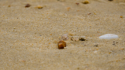 closeup of rocks on beach