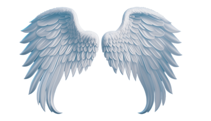angel wings isolated on transparent background