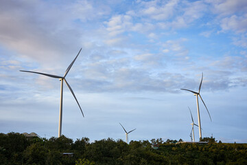wind turbine in the field
