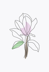 Magnolia flowers continuous line art. Abstract minimal hand drawing sketch. Vector illustration.
