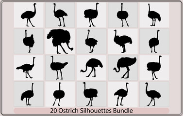 ostrich silhouette collection,silhouette of ostrich,Set of ostrich silhouettes,set of ostrich logo,Vector illustration of a black silhouette ostrich