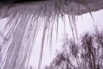 On a frosty winter day, large beautiful icicles hang from the snow-covered roof of the house. Snow on the roof.
