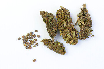 Close-up Medical marijuana flower buds. Cannabis strain. cannabis cbd buds, macro view. Curing and drying.