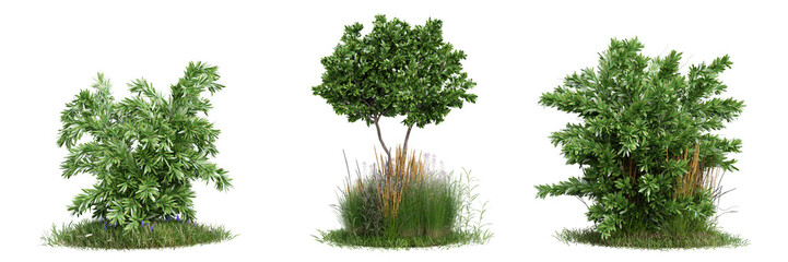 Collection green grass on transparent background 3d rendering png.