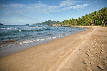 Dreamlike idyllic beach of El Nideo, Palawan in the Philippines with palm trees along the beach.