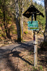 Im Kirnitzschtal bei Hinterhermsdorf 2
