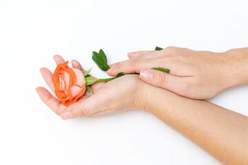 Beauty woman's hand with rose flowers lies on the table, white background. Natural beauty product and hand care, moisturizing and wrinkle reduction, skin care