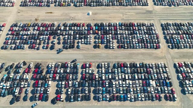 Used Damaged Cars On Auction Reseller Company Big Parking Lot Ready For Resale Services. Sales Of Secondhand Vehicles For Rebuilt Or Salvage Title