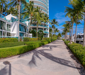 Naklejka premium Pathway with hedges and coconut trees on both sides near the buildings in Miami, Florida. Concrete path outside the modern residential buildings on the left and docked boats on the right.