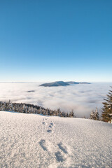Mountainsides of the Beskydy region in the Czech Republic are sinking into a thick white inversion rising from the cities. Winter fairytale scenery in central Europe