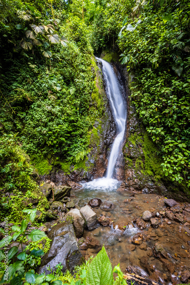 Wall mural waterfall in the forest